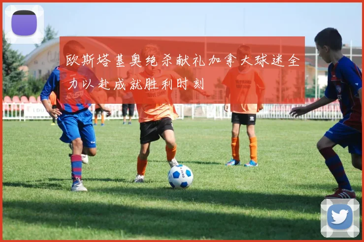 欧斯塔基奥绝杀献礼加拿大球迷全力以赴成就胜利时刻