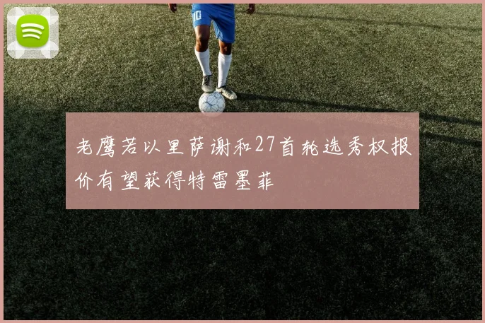 老鹰若以里萨谢和27首轮选秀权报价有望获得特雷墨菲