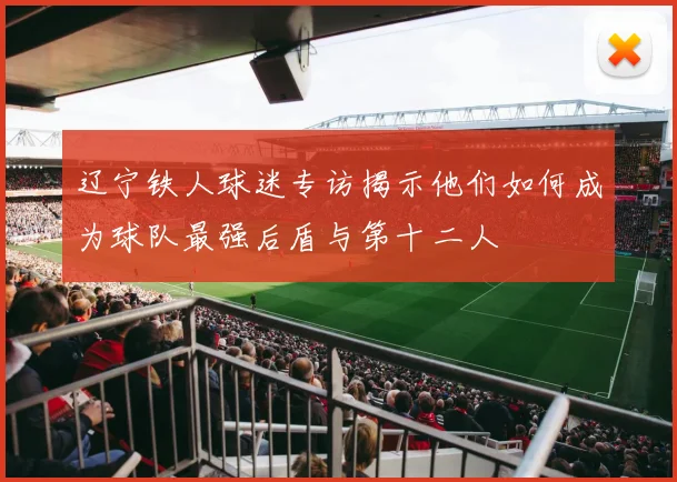 辽宁铁人球迷专访揭示他们如何成为球队最强后盾与第十二人